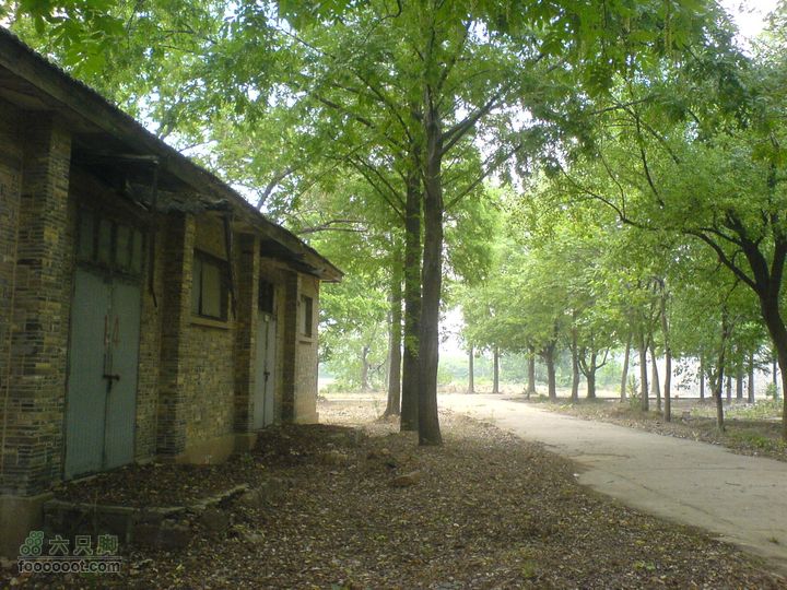 合肥市区—刘铭传故居、香草农庄一日游DSC01510