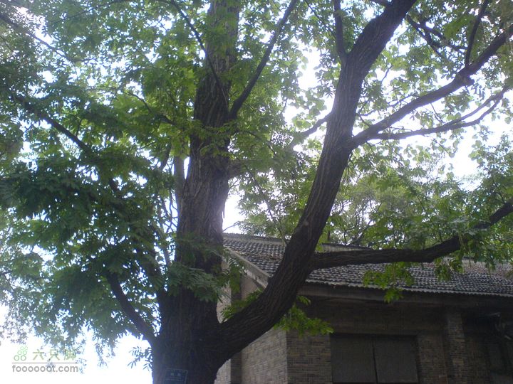 合肥市区—刘铭传故居、香草农庄一日游DSC01511