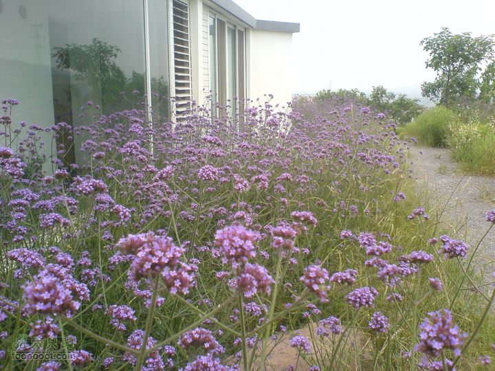 合肥市区—刘铭传故居、香草农庄一日游DSC01549