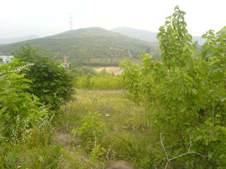 合肥市区—刘铭传故居、香草农庄一日游DSC01567