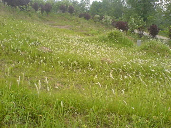 合肥市区—刘铭传故居、香草农庄一日游DSC01527