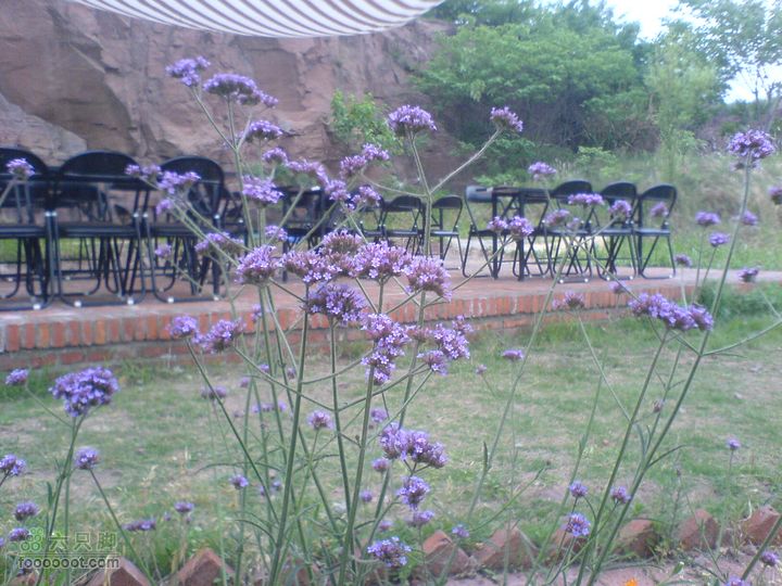 合肥市区—刘铭传故居、香草农庄一日游DSC01539