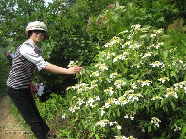 寻访大山深处人家-超经典明月山11古村组大连穿IMG_4528