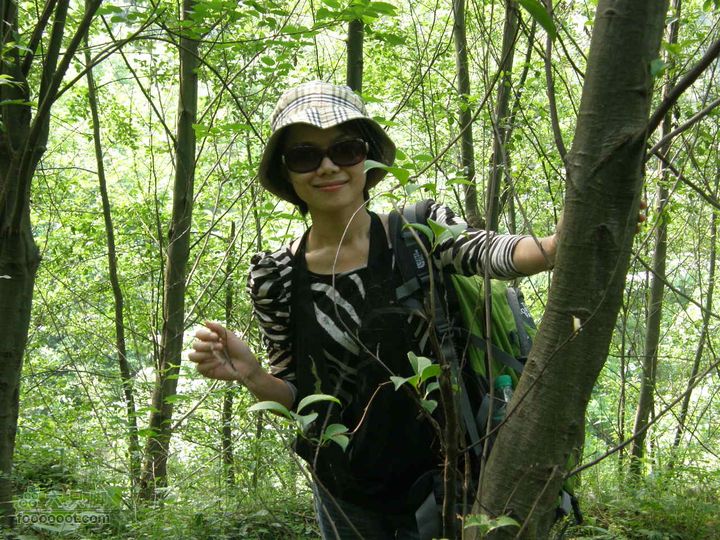 寻访大山深处人家-超经典明月山11古村组大连穿P5212272
