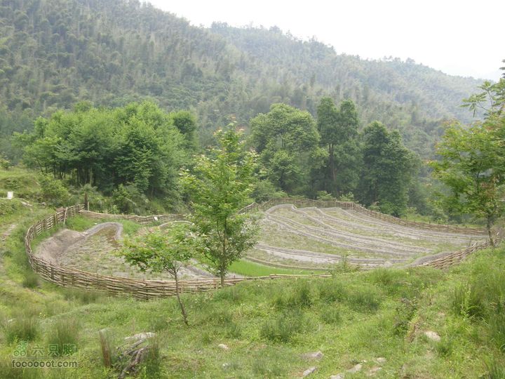 寻访大山深处人家-超经典明月山11古村组大连穿P5212350