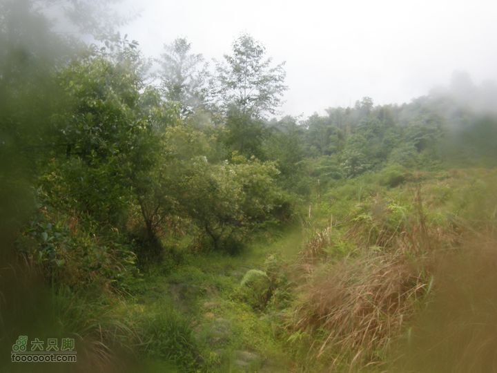 寻访大山深处人家-超经典明月山11古村组大连穿P5212423