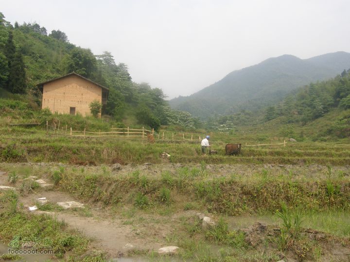 寻访大山深处人家-超经典明月山11古村组大连穿P5212427
