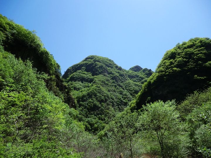 云瀑沟－野猪窝－五间房－五里坡－三岔河－黄柏寺（修剪后）沿途景观