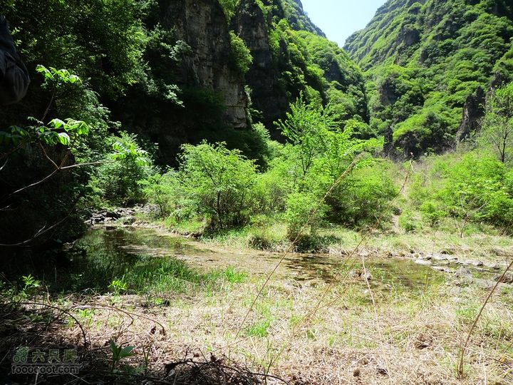 云瀑沟－野猪窝－五间房－五里坡－三岔河－黄柏寺（修剪后）沿途景色