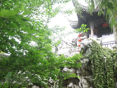 西塘行IMG_3653
