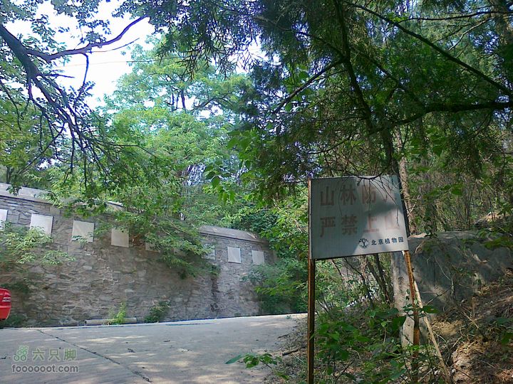 三家店-新望京-老望京-四棵树-植物园201105281341