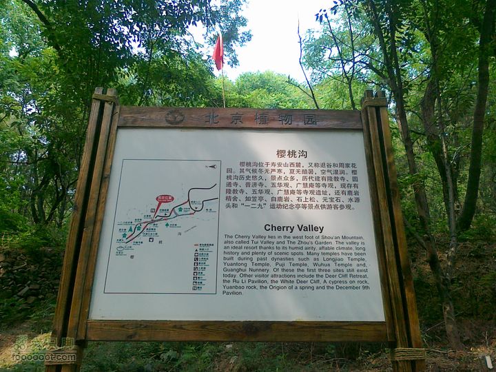 三家店-新望京-老望京-四棵树-植物园201105281342