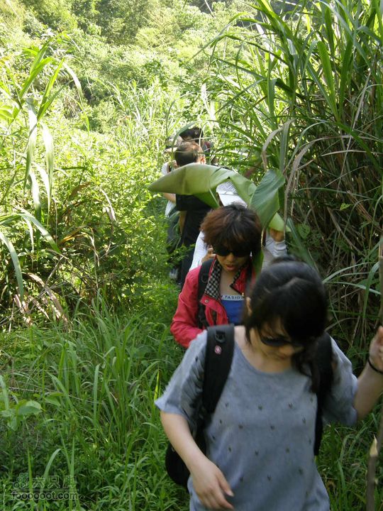 溯溪明月山十里峡后再登山P5292586