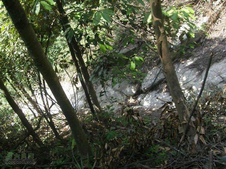 溯溪明月山十里峡后再登山P5292755