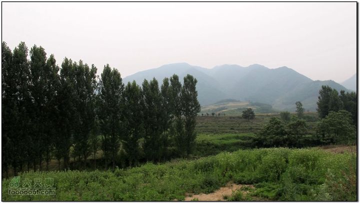 2011.6.5杨庄薰衣草庄园骑行IMG_1673