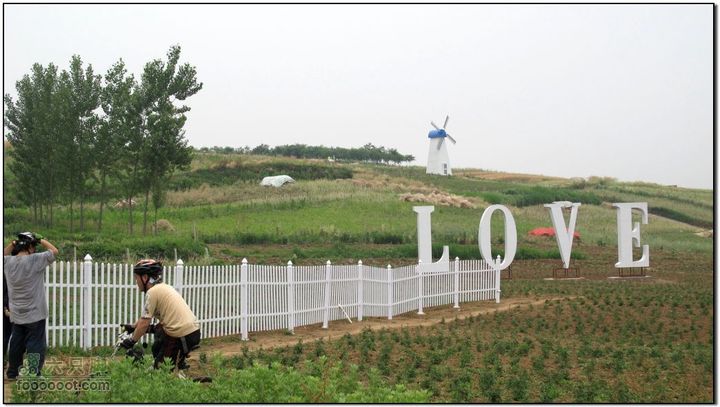 2011.6.5杨庄薰衣草庄园骑行IMG_1677