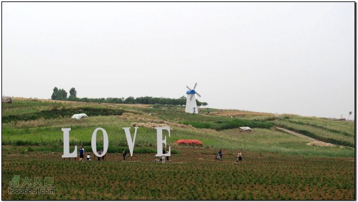 2011.6.5杨庄薰衣草庄园骑行IMG_1683