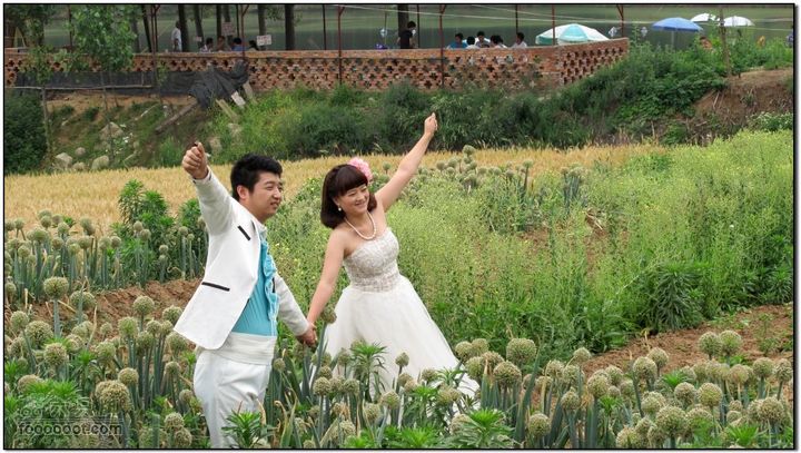 2011.6.5杨庄薰衣草庄园骑行IMG_1688