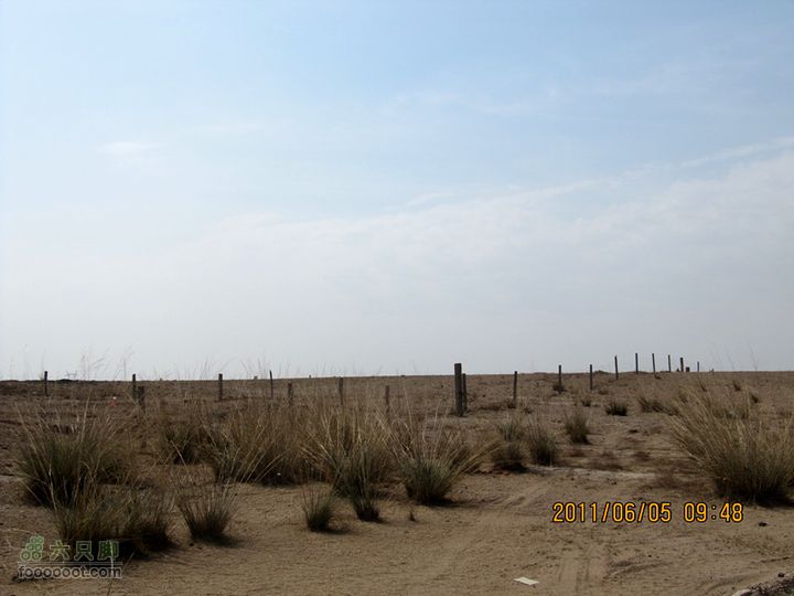 6.5荒漠沙地穿越2011.5.5绕沙地 034_副本