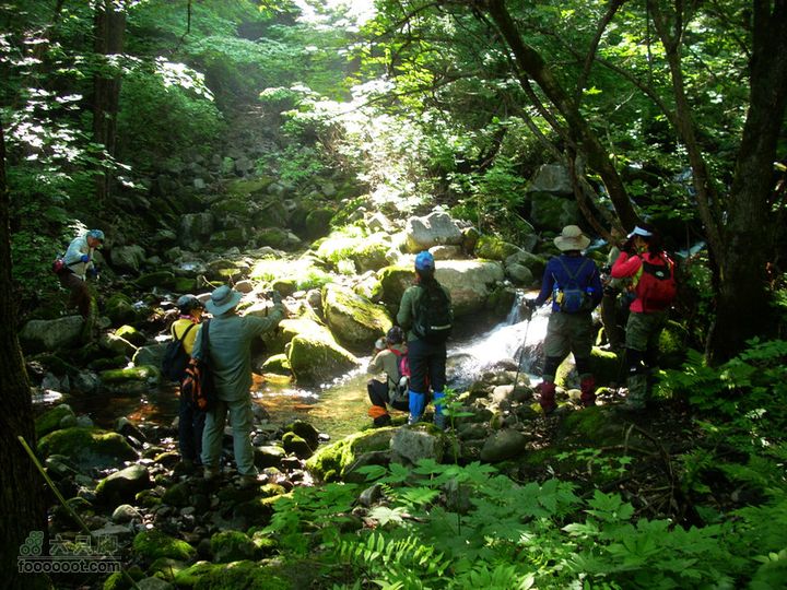 11端午牛毛大山 花脖山 千苍谷 百瀑峡穿越DSCN1196