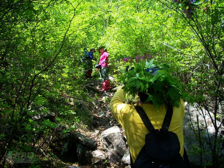 11端午牛毛大山 花脖山 千苍谷 百瀑峡穿越DSCN1209