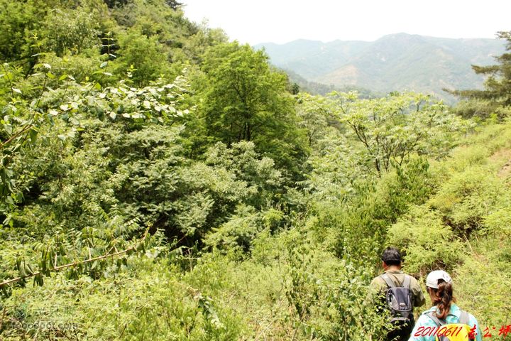 博山七峪村-志公坪进入沟内