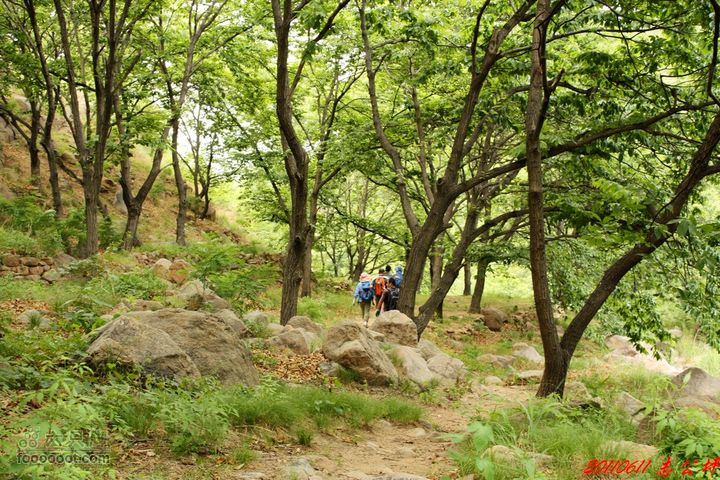 博山七峪村-志公坪夏季行走清凉无比