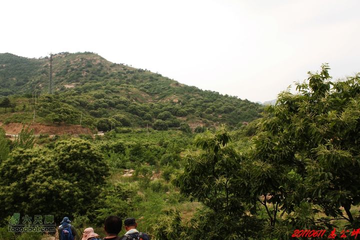 博山七峪村-志公坪穿过小河就是公路