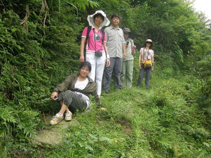 登山上水口，溯溪明月山P6123162