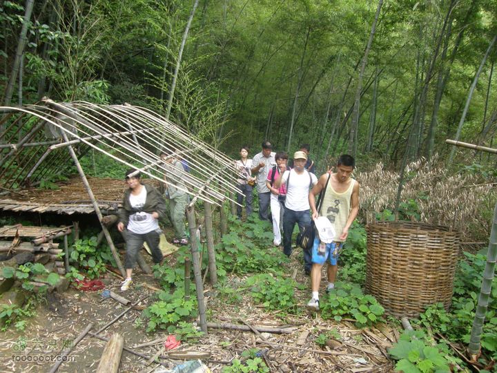 登山上水口，溯溪明月山P6123108