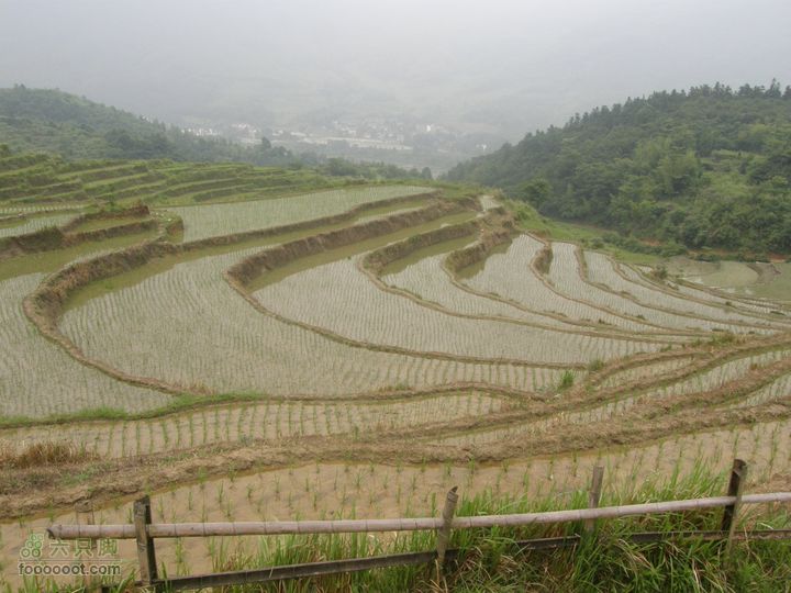 登山上水口，溯溪明月山P6123140