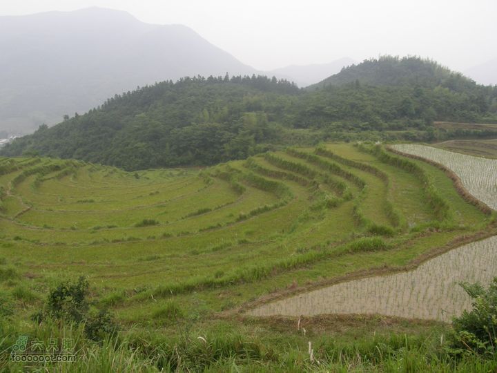 登山上水口，溯溪明月山P6123147