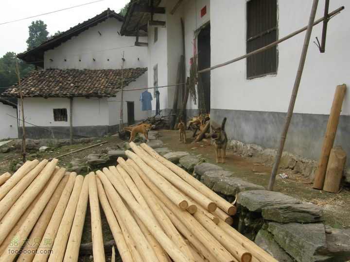 登山上水口，溯溪明月山P6123170