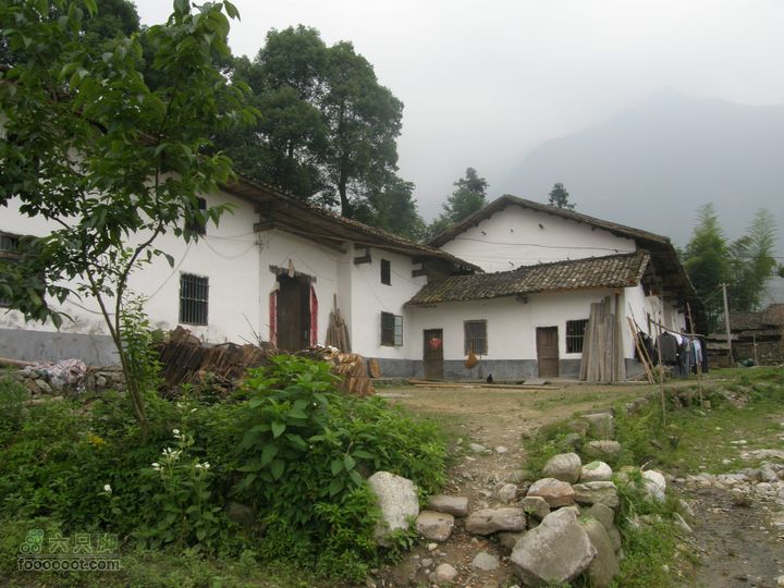 登山上水口，溯溪明月山P6123193