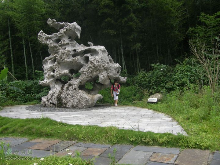 登山上水口，溯溪明月山P6123215