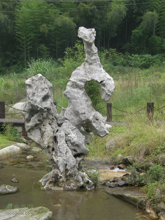 登山上水口，溯溪明月山P6123221