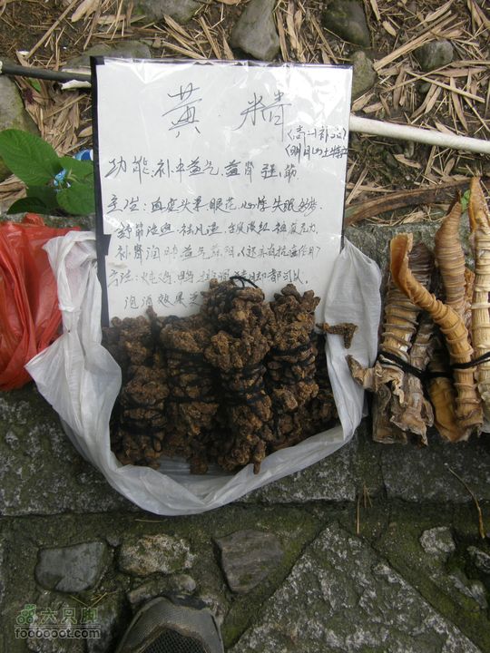 登山上水口，溯溪明月山P6123265