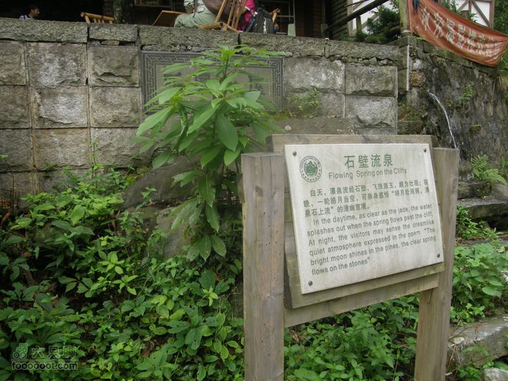 登山上水口，溯溪明月山P6123302