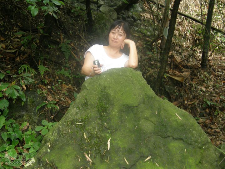 登山上水口，溯溪明月山P6123308