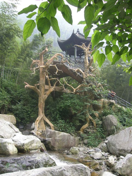 登山上水口，溯溪明月山P6123359