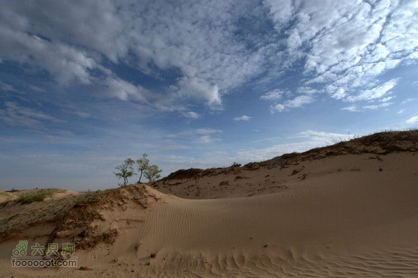 穿越浑善达克沙地之旅nEO_IMG_DSC_3238