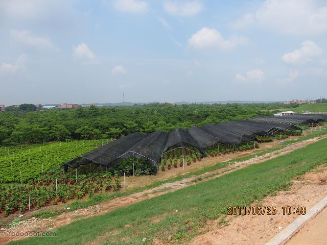 2011.6.25.俺412休闲踩去丹灶仙湖与康有为纪念馆IMG_2521_眸目压缩