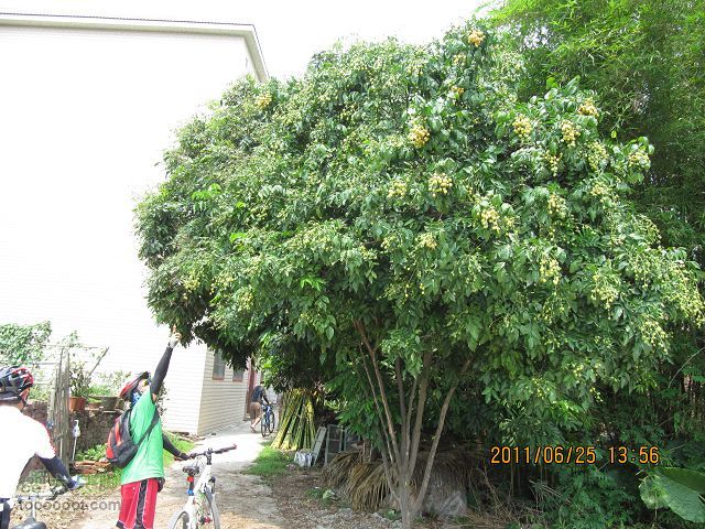 2011.6.25.俺412休闲踩去丹灶仙湖与康有为纪念馆IMG_2550_眸目压缩