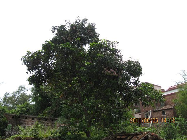 2011.6.25.俺412休闲踩去丹灶仙湖与康有为纪念馆IMG_2578_眸目压缩