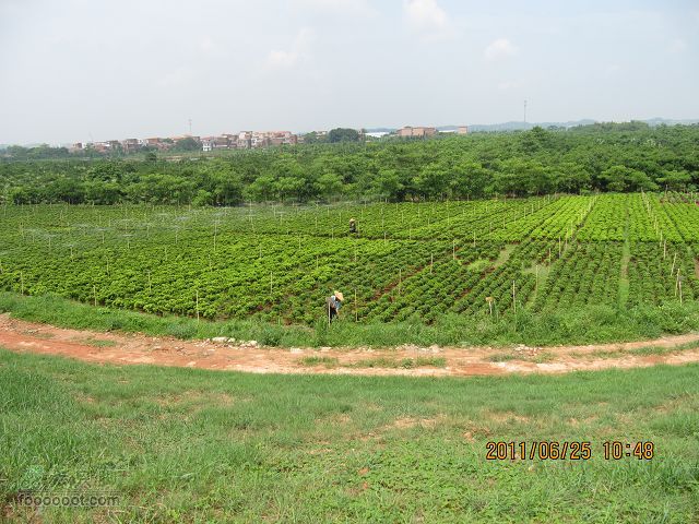 2011.6.25.俺412休闲踩去丹灶仙湖与康有为纪念馆IMG_2520_眸目压缩
