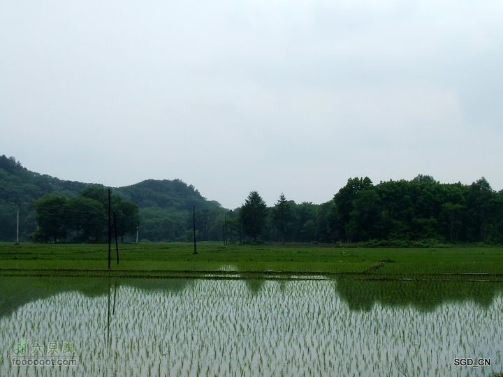 大龙湾-白山市DSCF9508