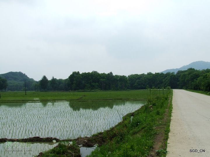 大龙湾-白山市DSCF9509