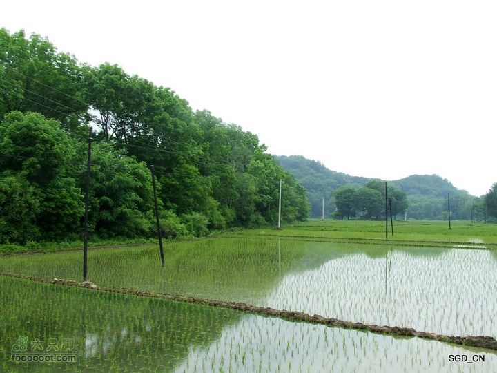 大龙湾-白山市DSCF9510
