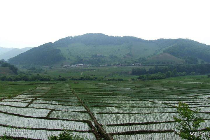 大龙湾-白山市DSCF9538