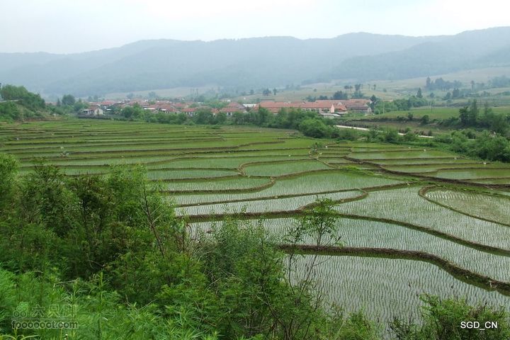 大龙湾-白山市DSCF9545